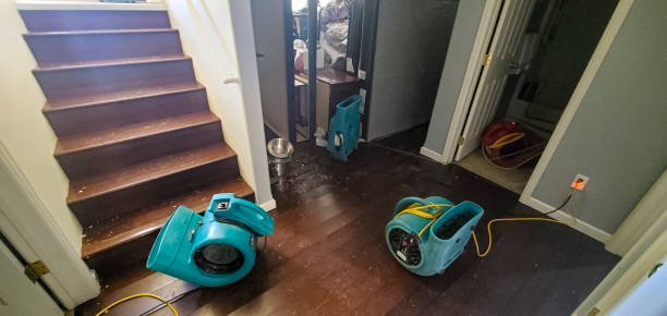 Best 24-hour water damage restoration  in Grantville, GA