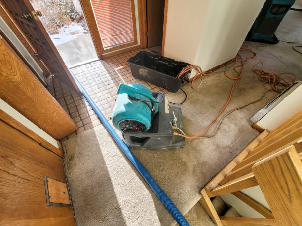 Best Carpet water damage restoration  in Grantville, GA