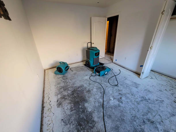 Best Water damage restoration experts  in Grantville, GA