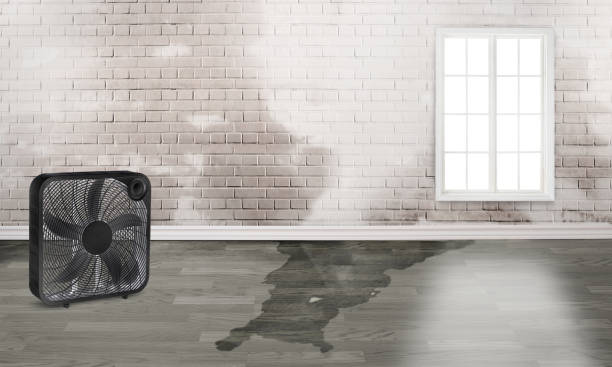Best Professional water damage repair  in Grantville, GA