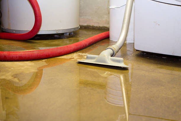 Best Flood damage cleanup  in Grantville, GA