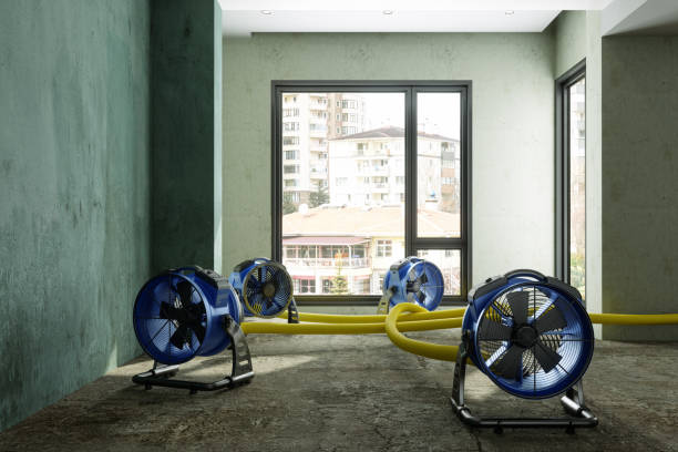 Best Mold removal after water damage  in Grantville, GA